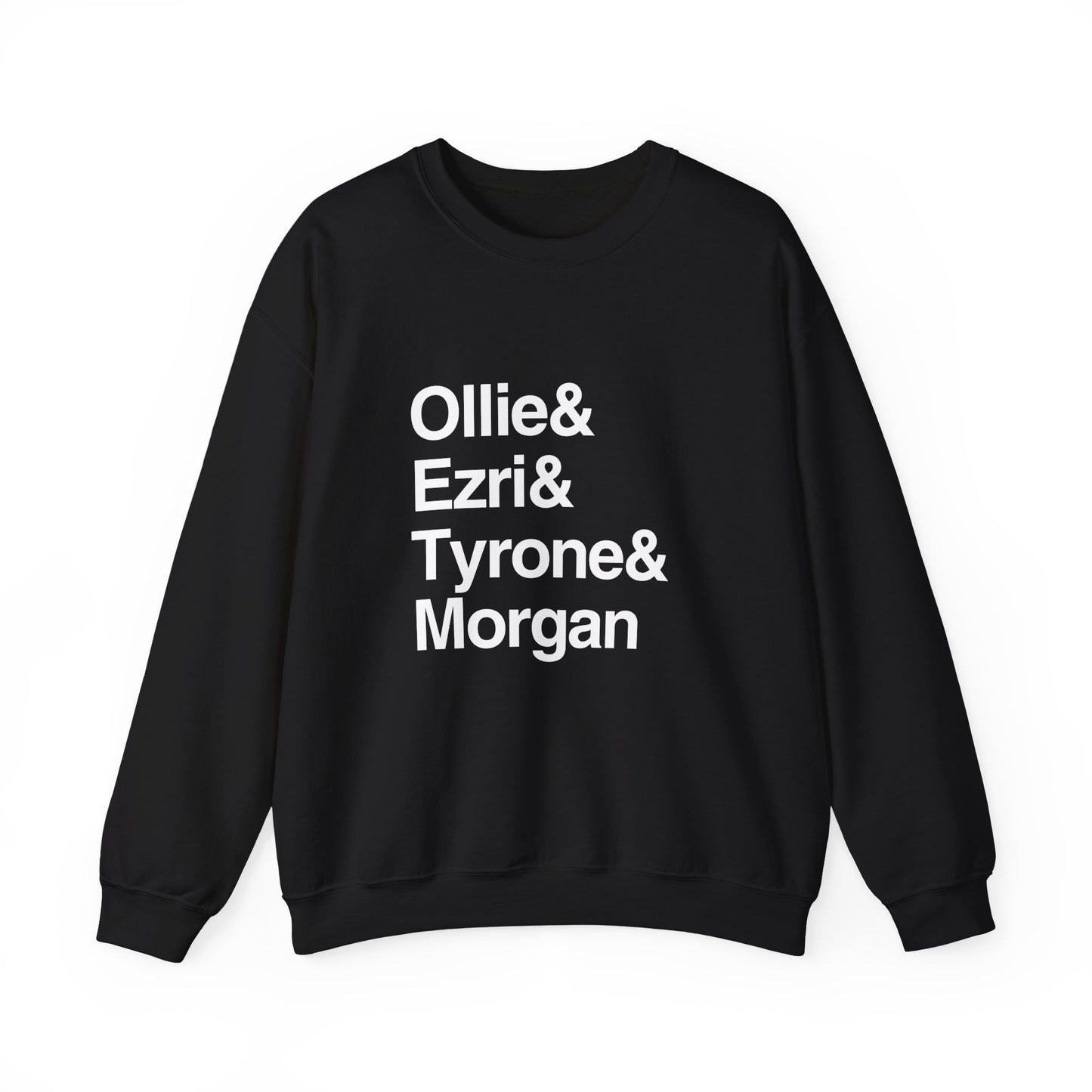AVFC Lions Icon Sweatshirt