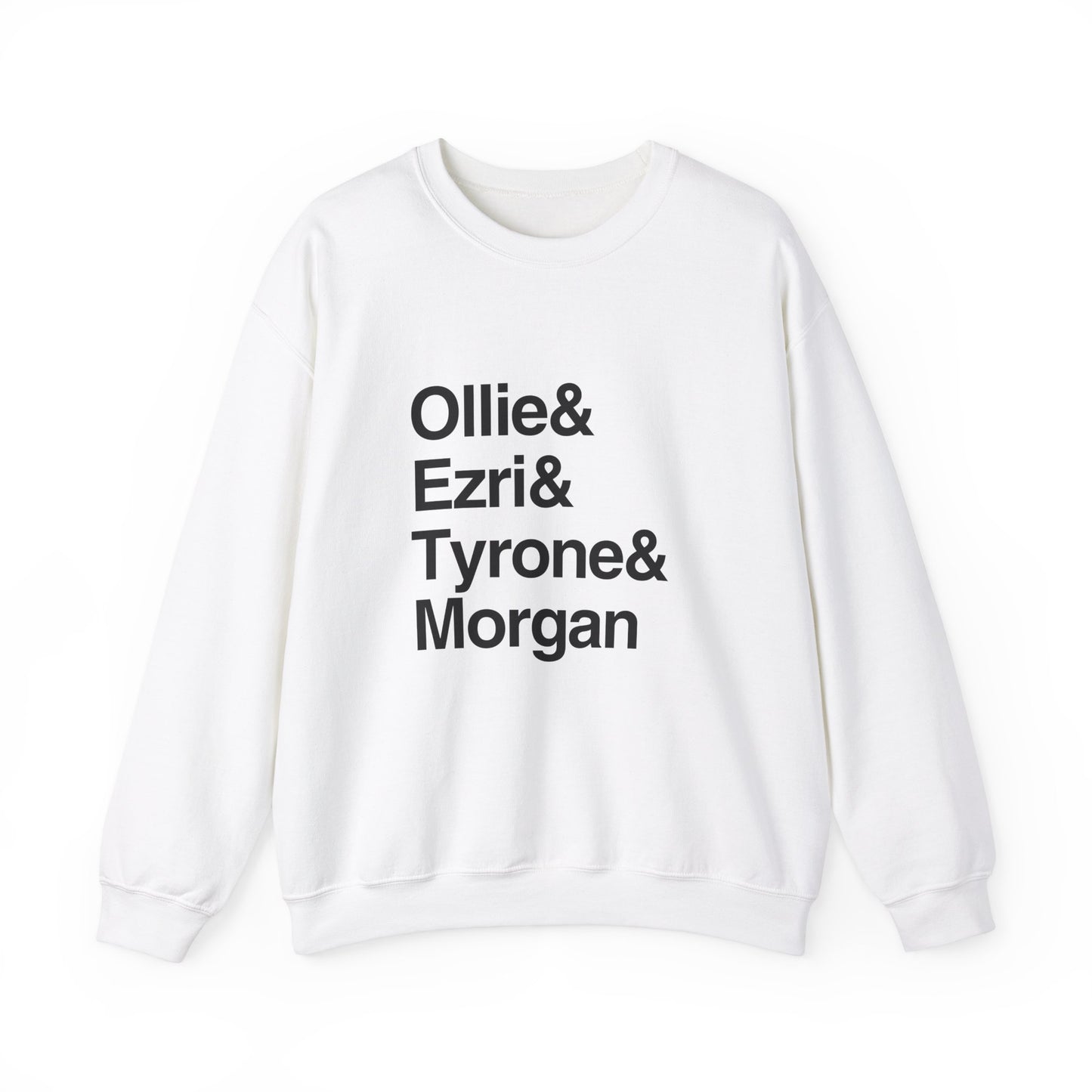 AVFC Lions Icon Sweatshirt