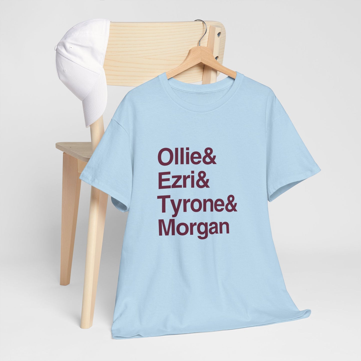 AVFC Lions Icon T-shirt