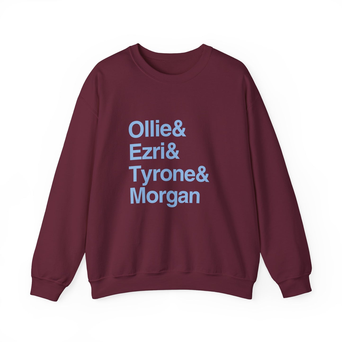 AVFC Lions Icon Sweatshirt